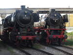 br-41/883523/br-50-778-und-br-41 BR 50 778 und BR 41 364 stehen im Eisenbahnmuseum Nrdlingen. 30.Mai 2025