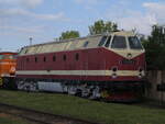 229 199-5 (119 199-8) von TEV Weimar beim 30.