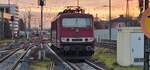 250 137-7 (155 137) Traktion4Rent GmbH steht Kalt in Regensburg Hbf am 14.Januar 2023